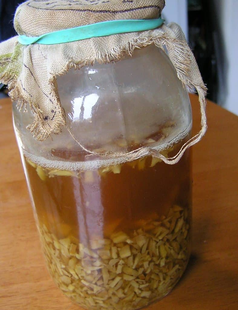 fermento de jengibre para ginger ale